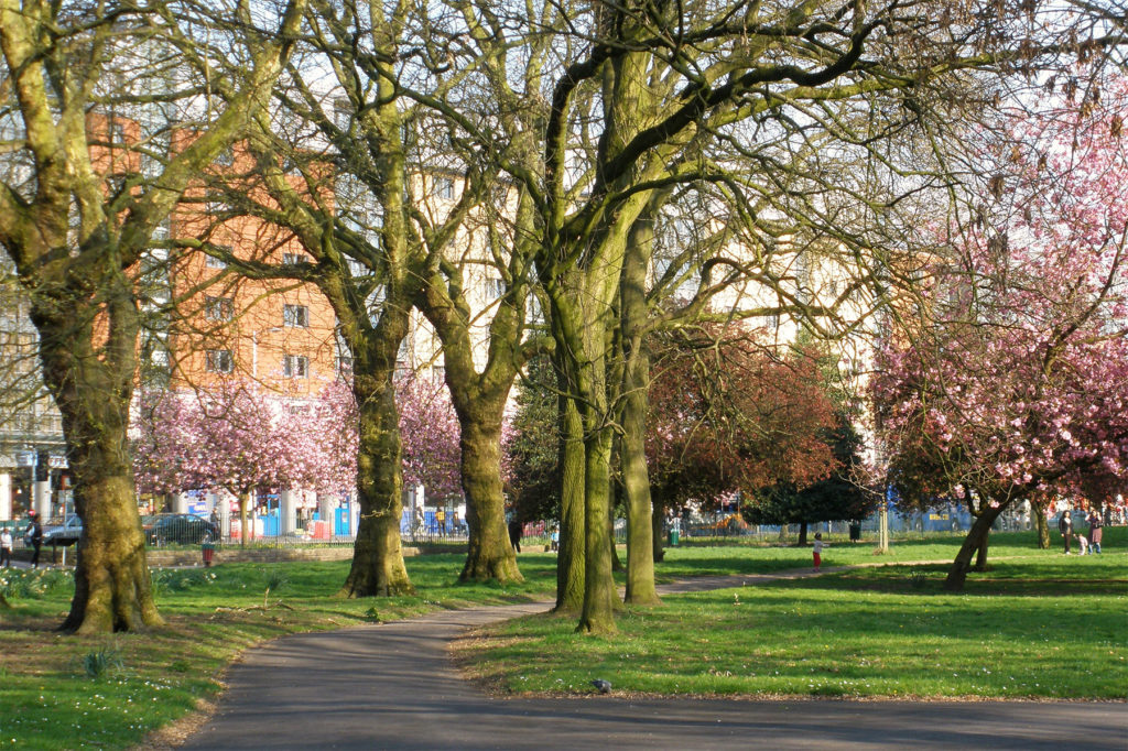 7 of Manchester's best green spaces - EcoSpeed Couriers Manchester